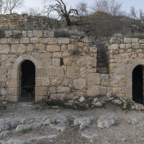 טיול בין הכרמים אל שרידי העיר המקראית (במת הסלע)